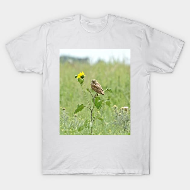 Burrowing Owl T-Shirt by Scubagirlamy